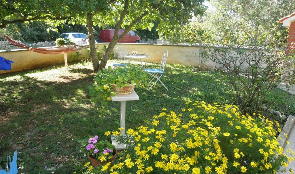 Apartmani Volga Petrcane Luaran gambar